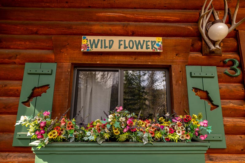 Vacation Rental Cabins - Bigfork MT - Swan Lake Cabins